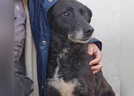 Ena: nur einmal Liebe spüren...