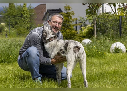 Clarita: sucht Familienanschluss