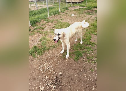 Süßer Fratz sucht Kuschelplatz