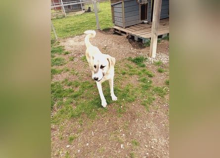 Süßer Fratz sucht Kuschelplatz