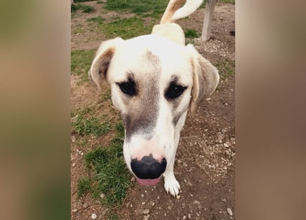 Süßer Fratz sucht Kuschelplatz
