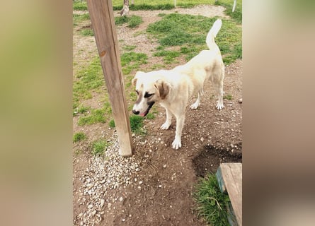 Süßer Fratz sucht Kuschelplatz