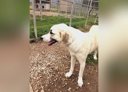Süßer Fratz sucht Kuschelplatz