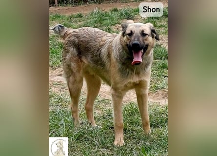 Shon – einmal lächeln, einmal verlieben, dann gemeinsam los ins Abenteuer!