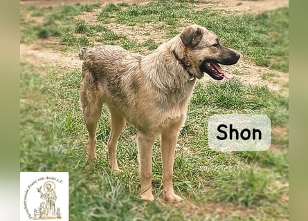 Shon – einmal lächeln, einmal verlieben, dann gemeinsam los ins Abenteuer!