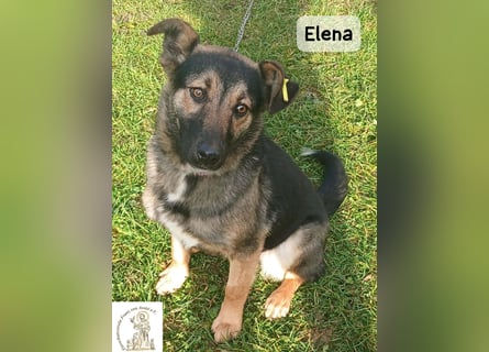Elena – so sanft, als hätte sie das Leben schon verstanden!