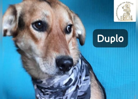 Duplo – leise starten, gemeinsam wachsen!