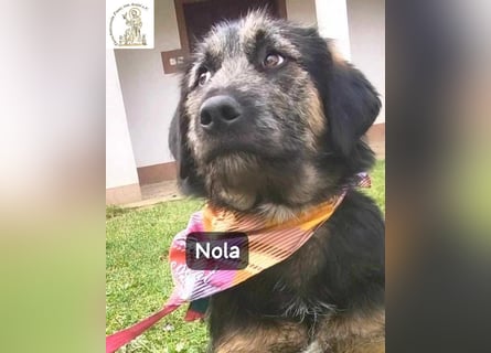 Nola – ist bereit, wenn du es bist!