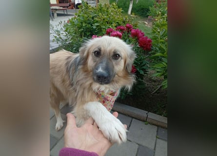 Malta – eine Lady auf dem Weg ins neue Leben!
