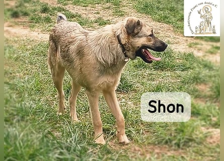 Shon – einmal lächeln, einmal verlieben, dann gemeinsam los ins Abenteuer!