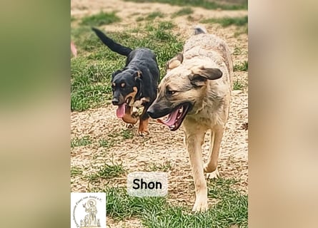 Shon – einmal lächeln, einmal verlieben, dann gemeinsam los ins Abenteuer!