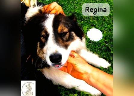 Regina – sie wollte nie allein sein!