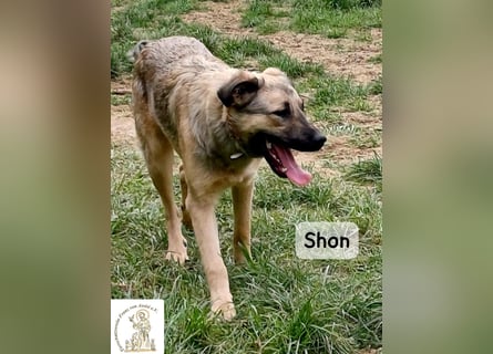 Shon – einmal lächeln, einmal verlieben, dann gemeinsam los ins Abenteuer!