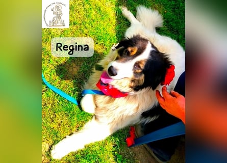 Regina – sie wollte nie allein sein!