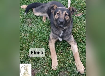 Elena – so sanft, als hätte sie das Leben schon verstanden!