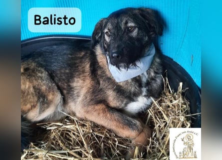 Balisto – vorsichtig? Ja. Langweilig? Ganz sicher nicht!
