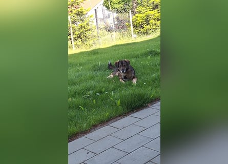 Maggret – angekommen, aufgeblüht und bereit fürs große Glück!