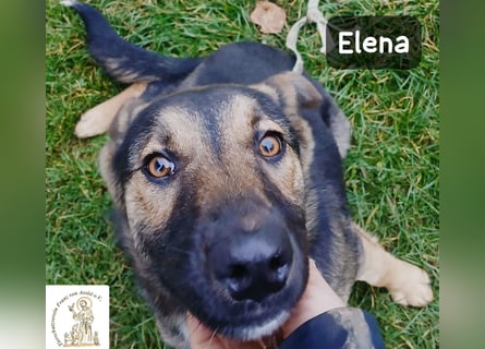 Elena – so sanft, als hätte sie das Leben schon verstanden!