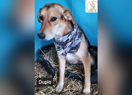Duplo – leise starten, gemeinsam wachsen!