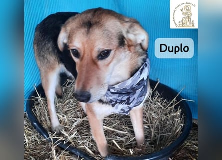 Duplo – leise starten, gemeinsam wachsen!