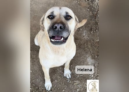 Helena – Schönheit mit Charakter und einem ganz besonderen Lächeln!