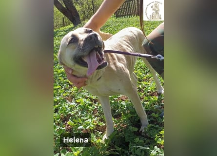 Helena – Schönheit mit Charakter und einem ganz besonderen Lächeln!