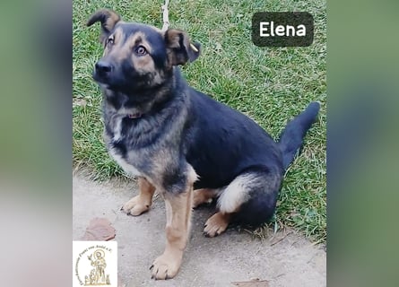 Elena – so sanft, als hätte sie das Leben schon verstanden!