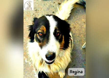 Regina – sie wollte nie allein sein!