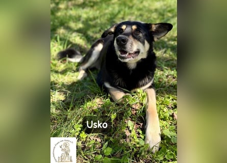 Usko – der, der lernen möchte, wie Leben wirklich geht!