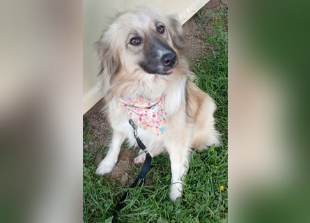 Malta – eine Lady auf dem Weg ins neue Leben!