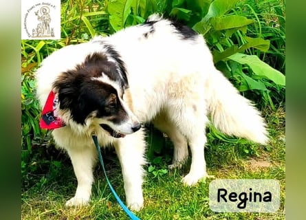 Regina – sie wollte nie allein sein!