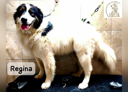 Regina – sie wollte nie allein sein!