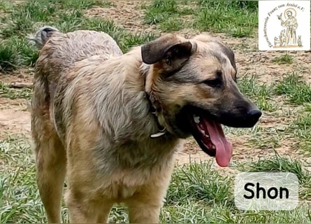 Shon – einmal lächeln, einmal verlieben, dann gemeinsam los ins Abenteuer!