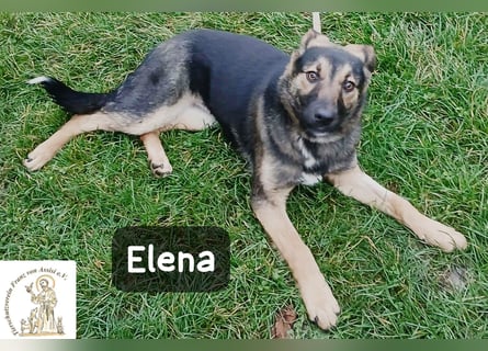 Elena – so sanft, als hätte sie das Leben schon verstanden!