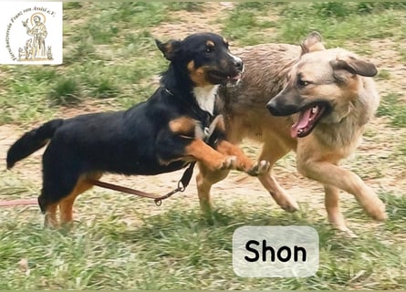 Shon – einmal lächeln, einmal verlieben, dann gemeinsam los ins Abenteuer!