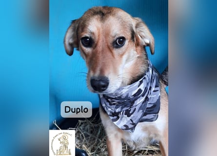 Duplo – leise starten, gemeinsam wachsen!