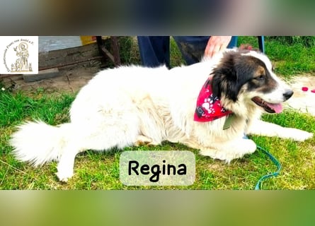 Regina – sie wollte nie allein sein!