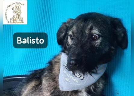 Balisto – vorsichtig? Ja. Langweilig? Ganz sicher nicht!