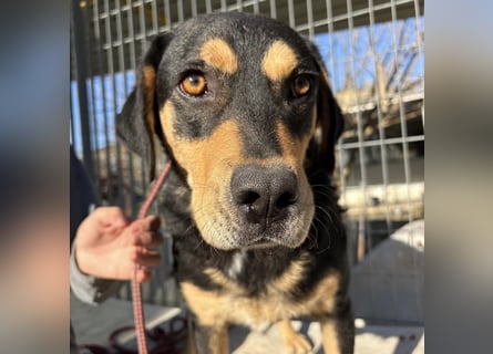 Tepp - junger, fröhlicher Bub