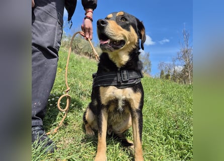 Tepp - junger, fröhlicher Bub