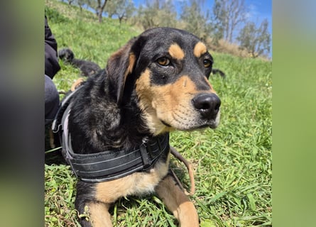 Tepp - junger, fröhlicher Bub