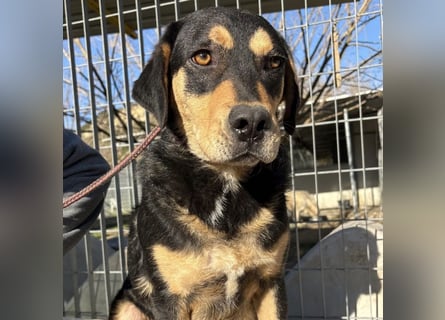 Tepp - junger, fröhlicher Bub