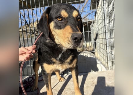 Tepp - junger, fröhlicher Bub