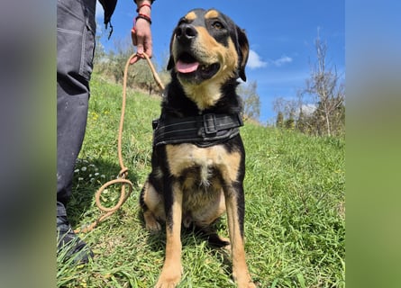 Tepp - junger, fröhlicher Bub