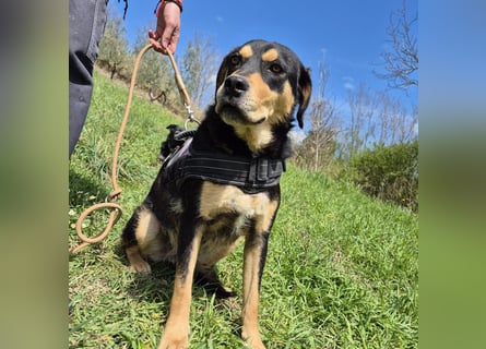 Tepp - junger, fröhlicher Bub