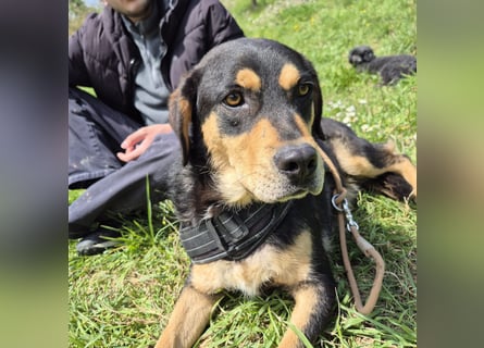 Tepp - junger, fröhlicher Bub