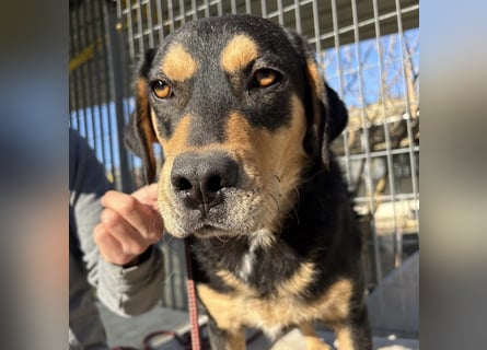 Tepp - junger, fröhlicher Bub