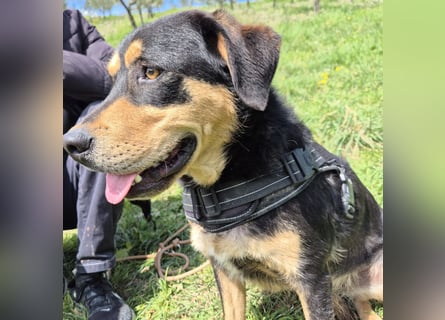 Tepp - junger, fröhlicher Bub