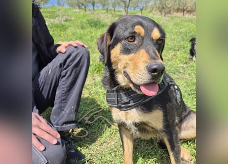 Tepp - junger, fröhlicher Bub