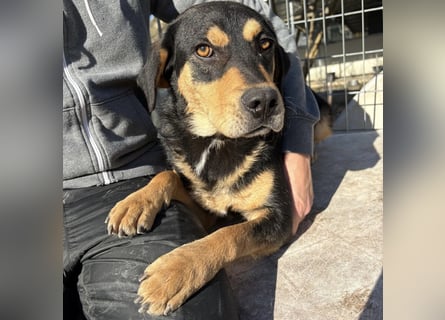 Tepp - junger, fröhlicher Bub